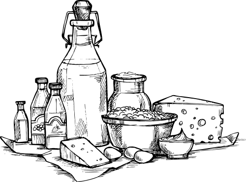 Čerstvé Jídlo